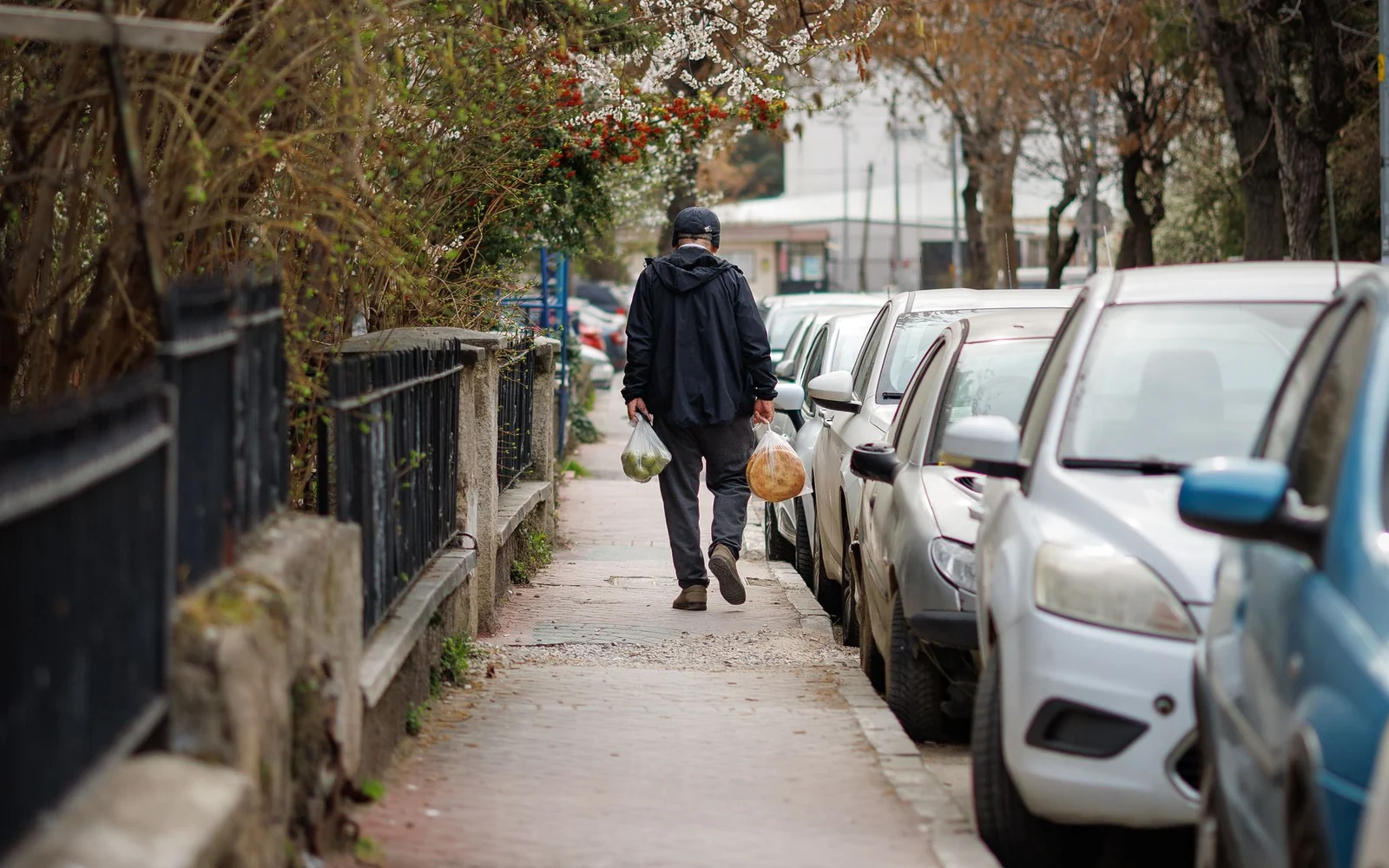 A man in full-length grey trousers carries groceries along a leafy pavement.