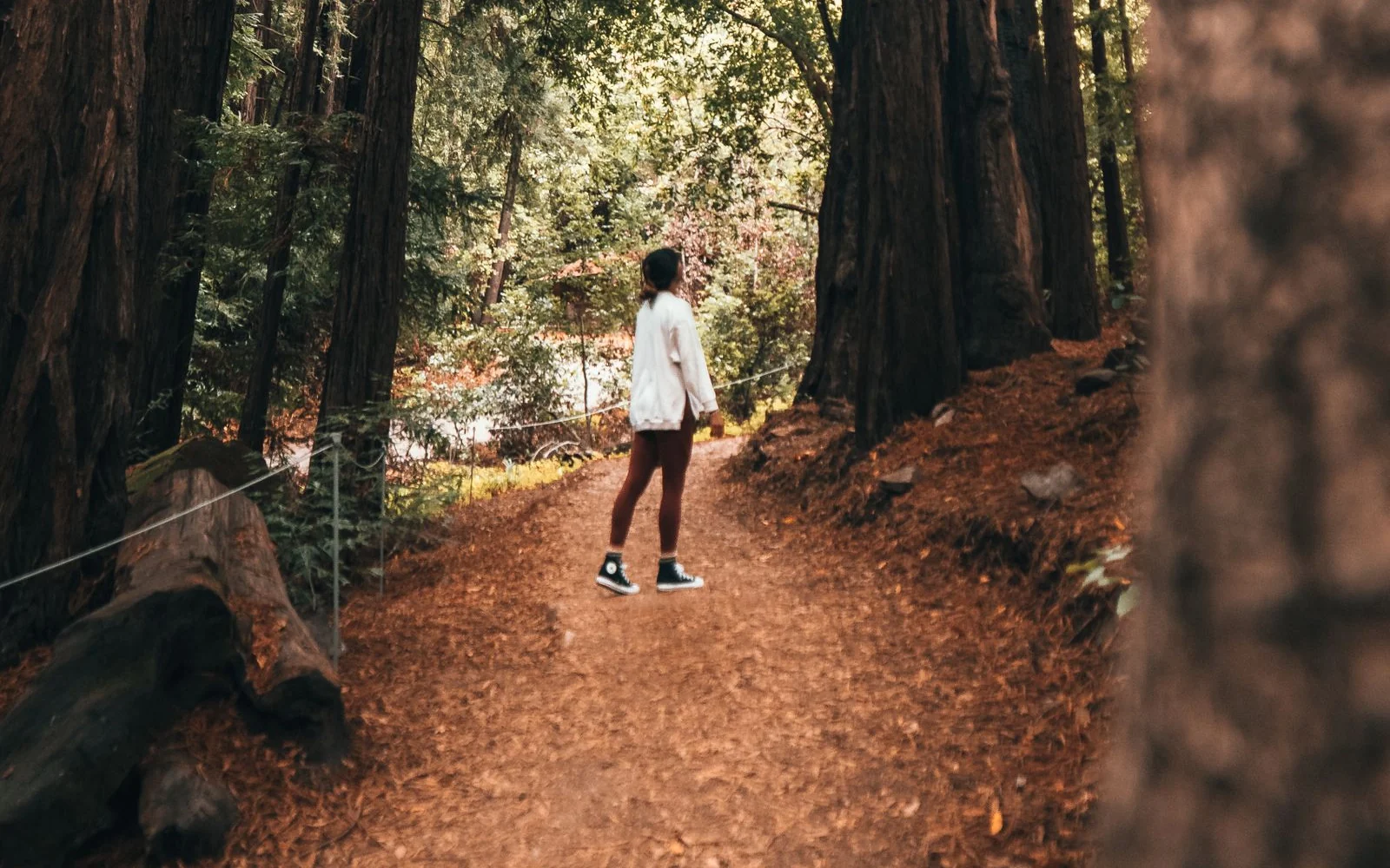 A person in a light jacket walks along a woodland trail between tall trees.